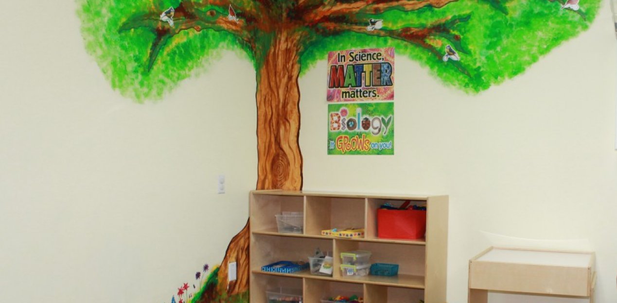painted tree on a wall with a bookshelf underneath it
